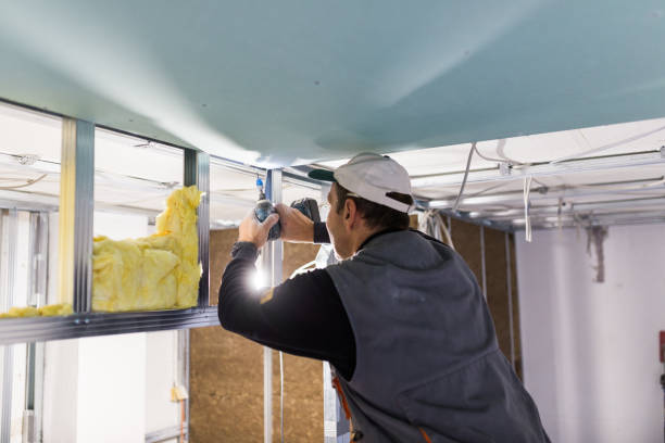 Insulation Replacement Services in Highland Lakes, AL